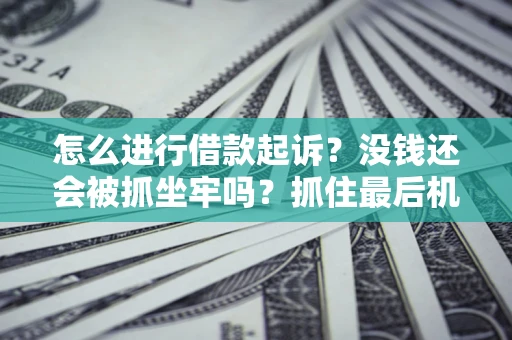 济南怎么进行借款起诉？没钱还会被抓坐牢吗？抓住最后机会！