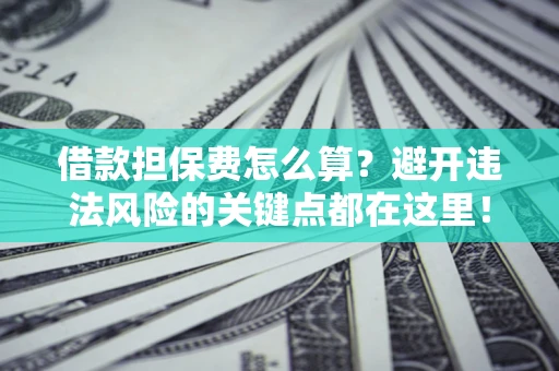 济南借款担保费怎么算？避开违法风险的关键点都在这里！