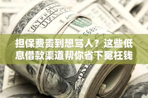 济南担保费贵到想骂人？这些低息借款渠道帮你省下冤枉钱