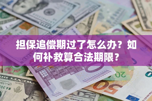济南担保追偿期过了怎么办？如何补救算合法期限？