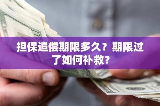 济南担保追偿期限多久？期限过了如何补救？