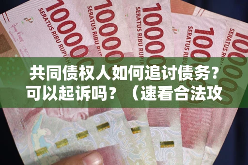 济南共同债权人如何追讨债务？可以起诉吗？（速看合法攻略）