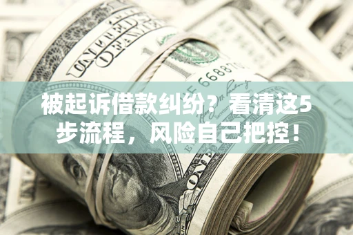 济南被起诉借款纠纷？看清这5步流程，风险自己把控！