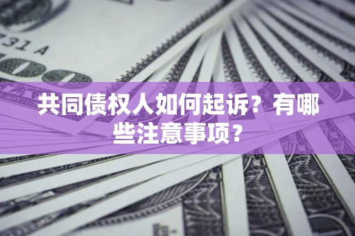 济南共同债权人如何起诉？有哪些注意事项？