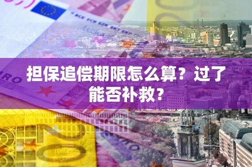 济南担保追偿期限怎么算？过了能否补救？